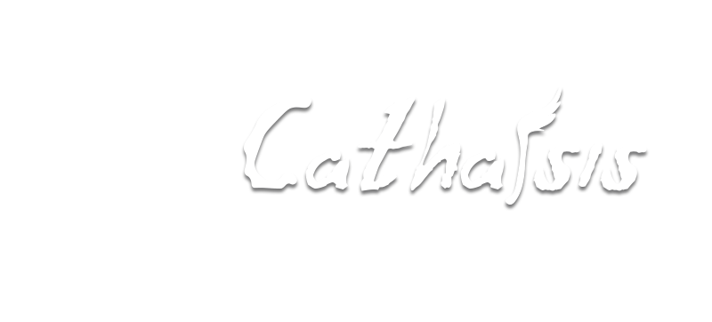 Catharsis Film and Video Festival